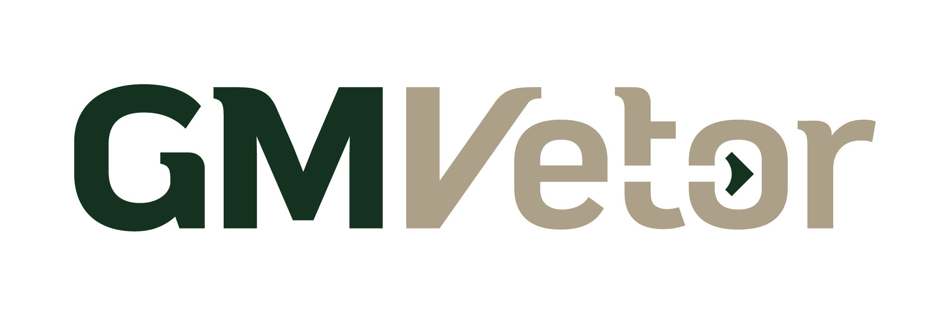 GMVetor Empreendimentos